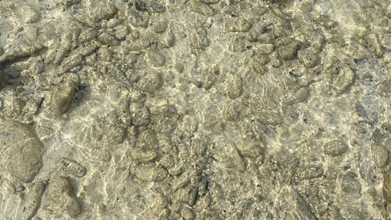 ทะเลสวย น้ำใส หาดทรายขาว มีกิจ