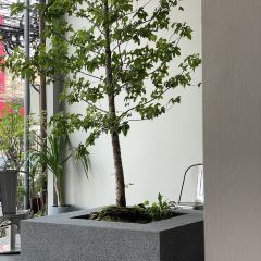 Lot Of Taste User Photo