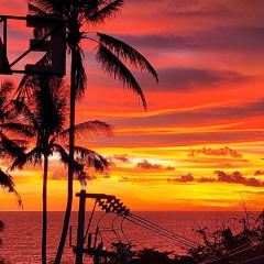 EAT Bar & Grill Restaurant Karon User Photo