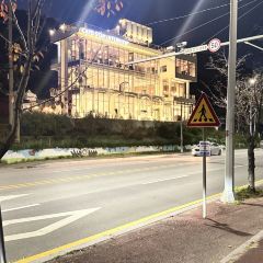 007라이브 User Photo