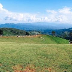 Akha FarmVille User Photo