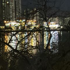 007라이브 User Photo