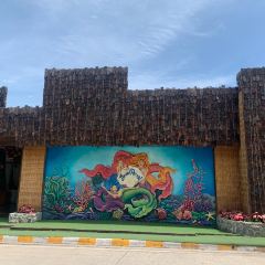 3 Mermaids張用戶圖片