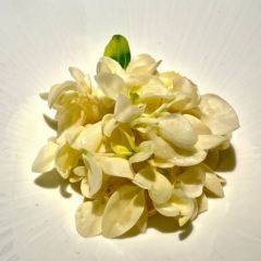 山湖悦宴 User Photo