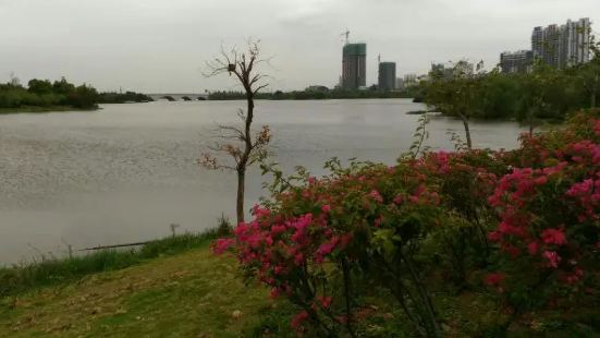 Feilai Lake Wetland Park is th