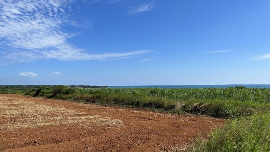 ちゅらさんの舞台になった島。コンビニなどはない。海が綺麗でた