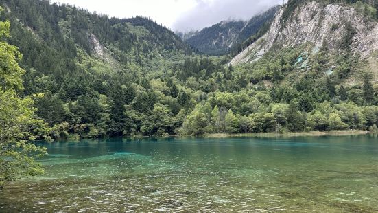 去過九寨溝看過他們的山水，以後在其他地方就不再看水的說法非常