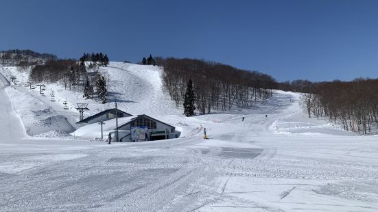 新幹線の駅直結のスキー場として有名なこのスキー場は、首都圏か