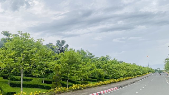 review picture