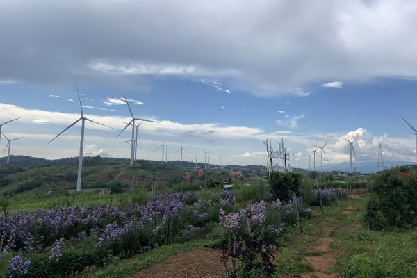 ที่เที่ยวหน้าหนาวใกล้กรุงเทพ