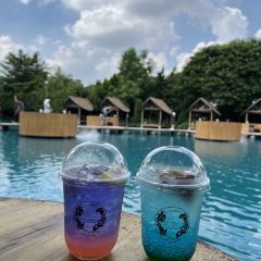 Bubble in the Forest Cafe張用戶圖片