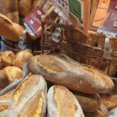 Isuzu Bakery Motomachi User Photo