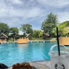 Bubble in the Forest Cafe張用戶圖片