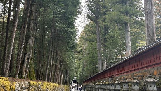 栃木県を代表する世界遺産です。緑豊かな場所にありとても風情が