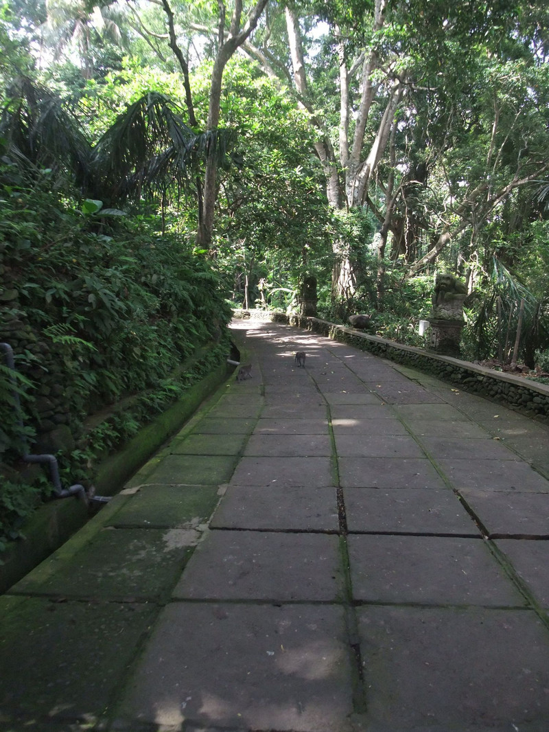 聖猴森林公園用戶評價