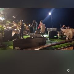 3 Mermaids張用戶圖片