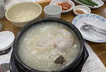 비원 여행 사진