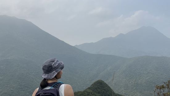在寧靜森林中看書🌳📖「天書壁」位於大嶼山，係東涌市區，經