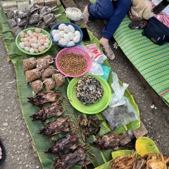 루앙파방 새벽시장 여행 사진