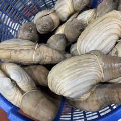 Seafood restaurant Mr Crab User Photo