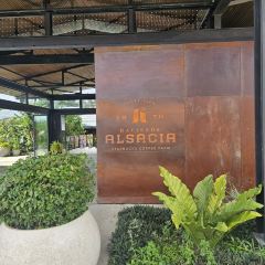 Hacienda Alsacia Starbucks Coffee Farm User Photo