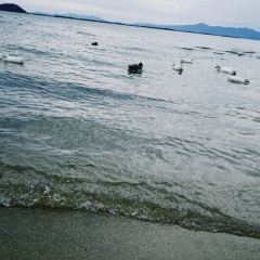 Chalet Mizugahama User Photo