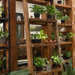 三兄弟餐廳張用戶圖片