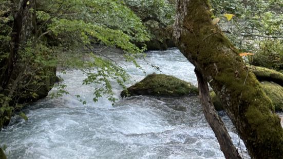 奧入瀨溪流是青森縣十和田市十和田湖畔子之口到燒山之間約14公
