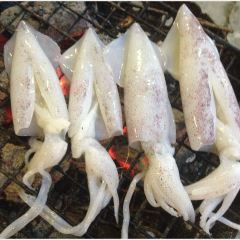 Jomtien Talay Pao User Photo