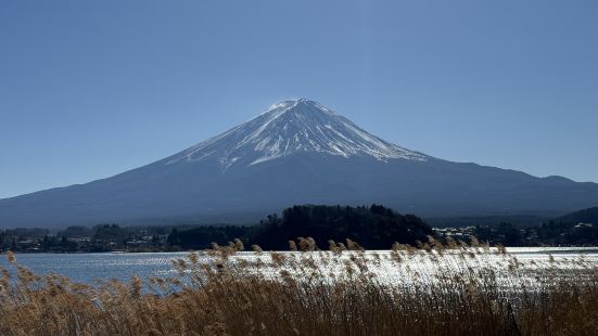 大石公園是座美麗又寧靜的湖岸，一到夏日便可以聞著薰衣草花香，