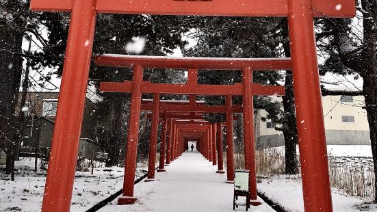 伏見稲荷神社は、やはりたくさんの鳥居が⛩ありますよね！皆さん