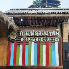 Doi Pha Mee Coffee กาแฟดอยผาหมี User Photo