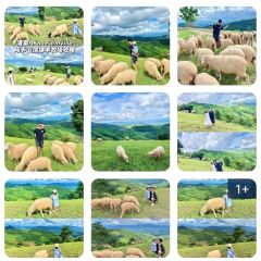 Akha FarmVille User Photo