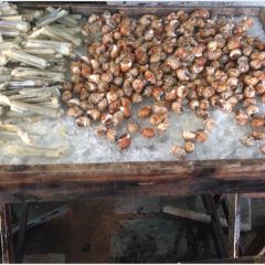 Jomtien Talay Pao User Photo