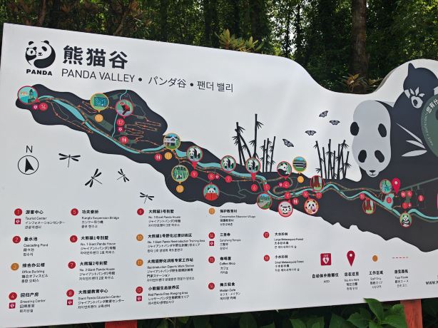 Panda Valley Tickets [2026] - Promos, Prices, Reviews & Opening