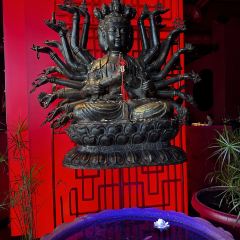 Zuma ảnh của người dùng