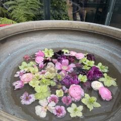 Petersham Nurseries Restaurant User Photo
