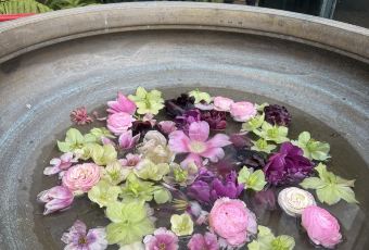 Petersham Nurseries Restaurant User Photo