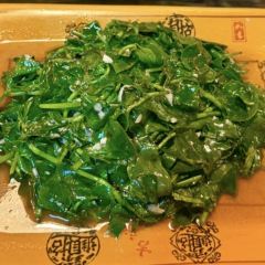 庭院小酌 User Photo