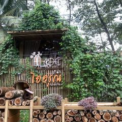 Baan Rai I Arun 여행 사진