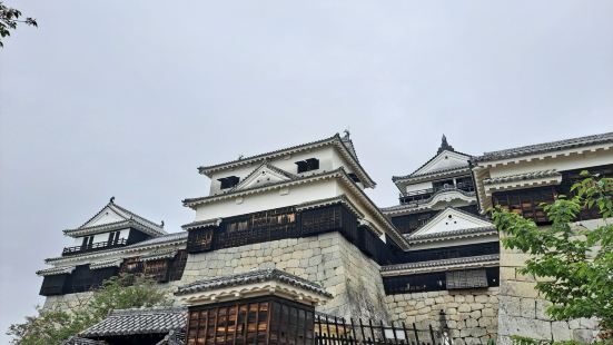 웅장하고 한 번쯤 가볼만한 곳한국인의 경우 마쓰야마 공