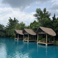 Bubble in the Forest Cafe張用戶圖片