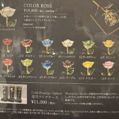 Star Gate User Photo