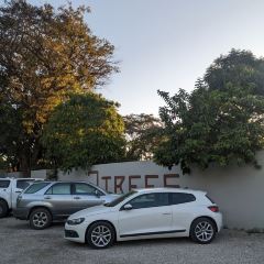 3 Trees User Photo