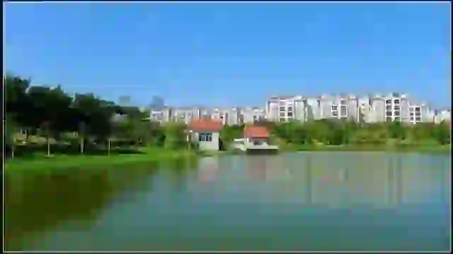 review picture