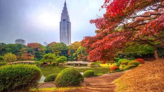新宿御苑是位於日本東京都新宿區的皇家御苑，是一個美麗而寧靜的