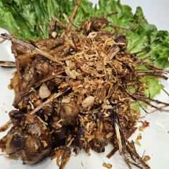 Thai Chef Thais Restaurant User Photo