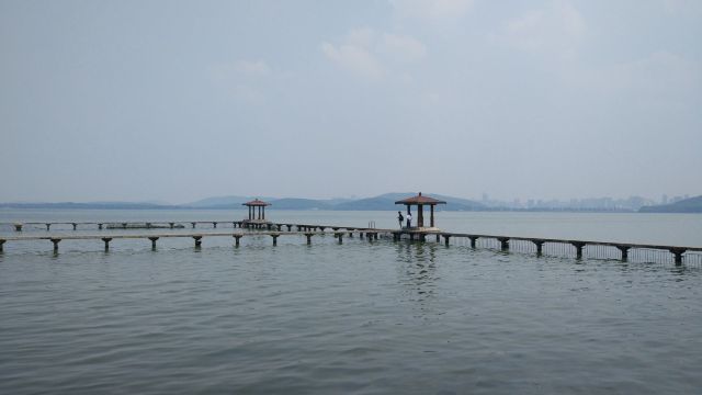 review picture