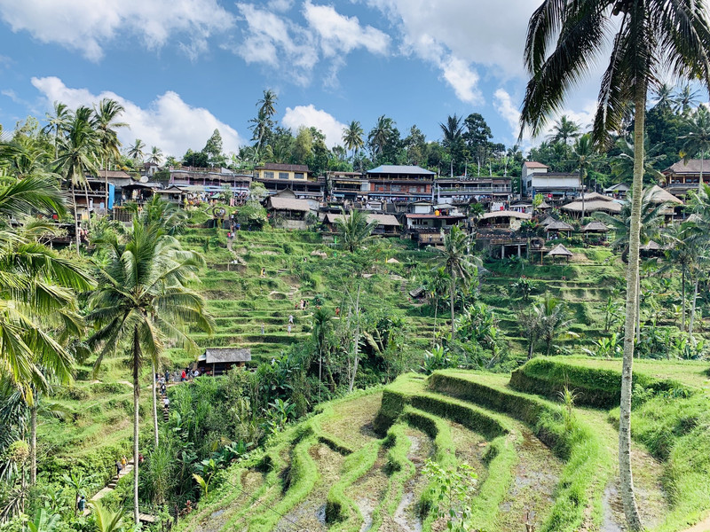 德格拉朗梯田用戶評價