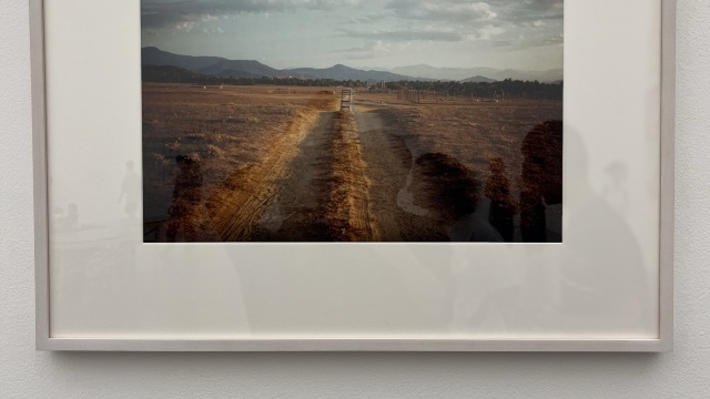 review picture